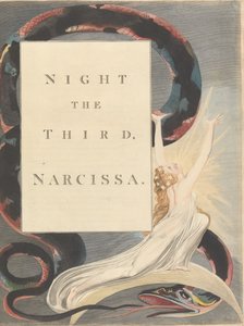 Pensieri notturni di Young, Pagina 43, La terza notte, Narcissa da William Blake